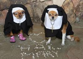 funny nuns