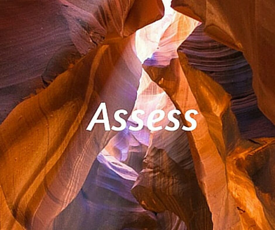 3. Assess