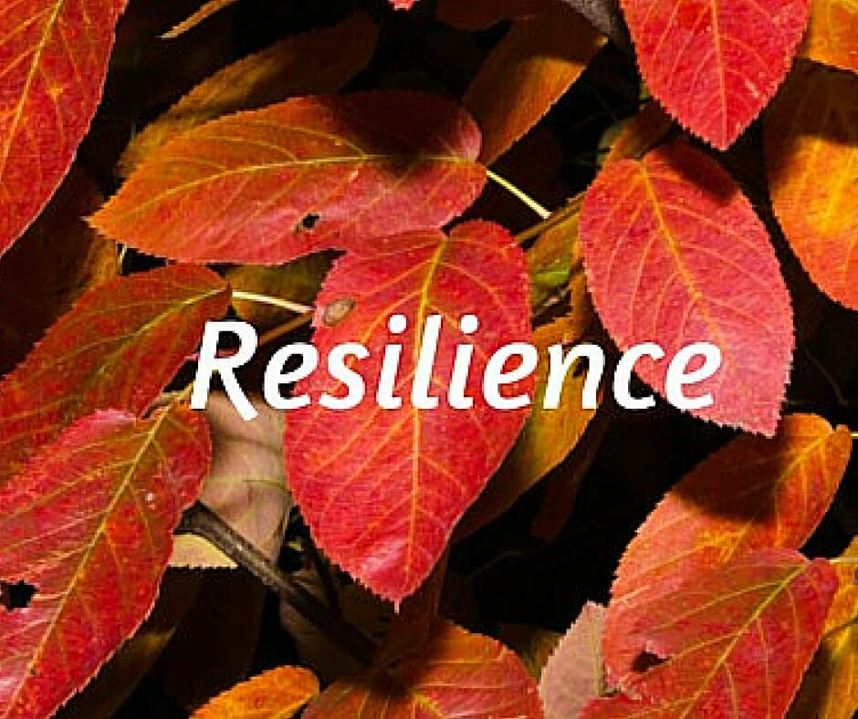 4. Resilience