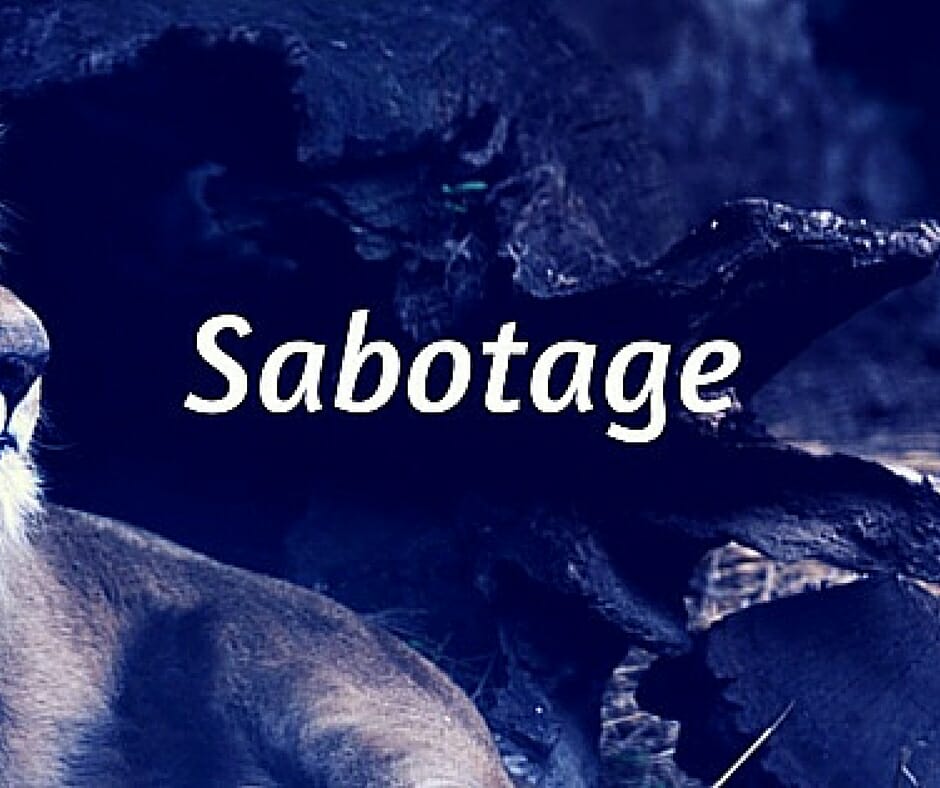 3. Sabotage