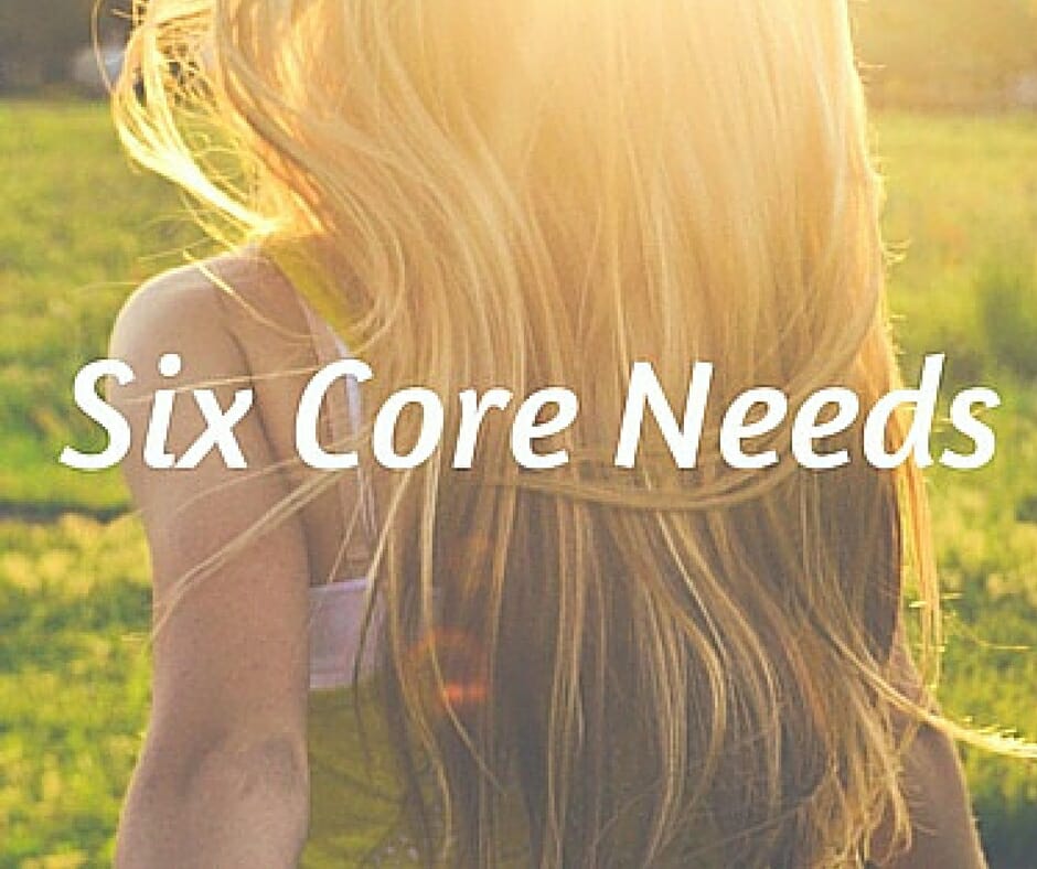 3. Six Core Needs