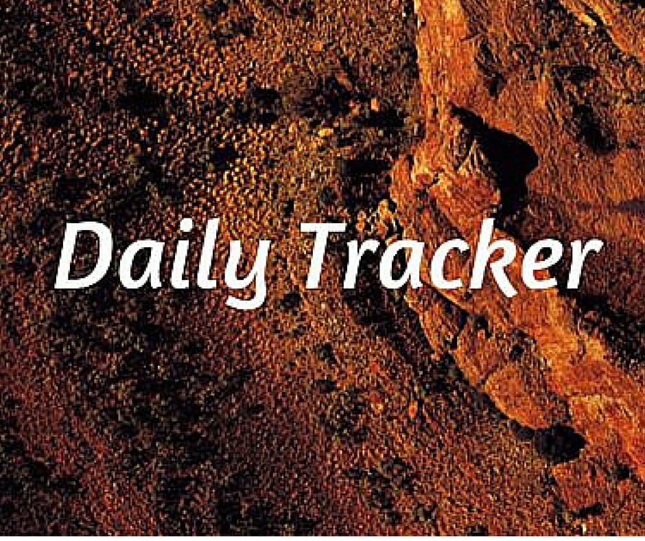 3. Daily Tracker